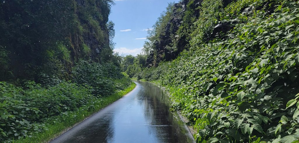 The Erie Canalway Trail Improvements for Little Falls